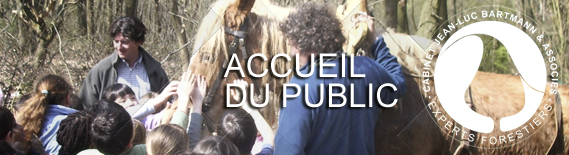 Accueil du public