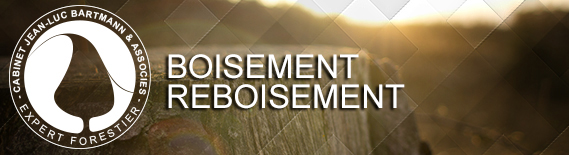 Boisement reboisement
