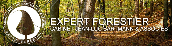 Cabinet d'Expertise J-L Bartmann et Associés - Experts Forestiers