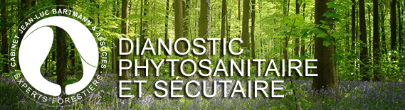 Diagnostic phytosanitaire et sécuritaire