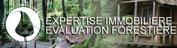 Expertise immobilière - Évaluation Forestière