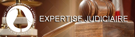 Expertise judiciaire