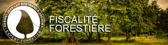 Investissement & Fiscalité 