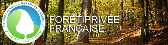 Forêt privée française