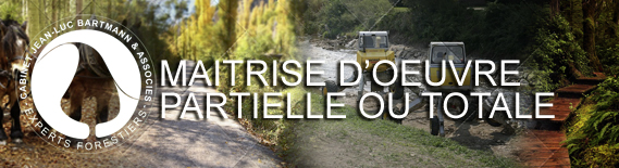 Maitrise d'oeuvre partielle ou totale