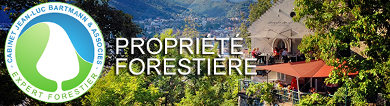 Propriété forestière